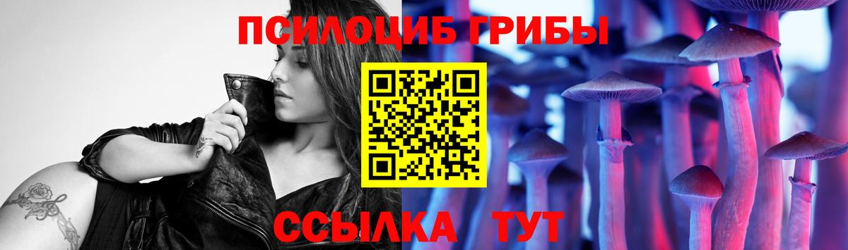 Сегежа  Псилоцибиновые грибы мицелий  Вход с VPN 